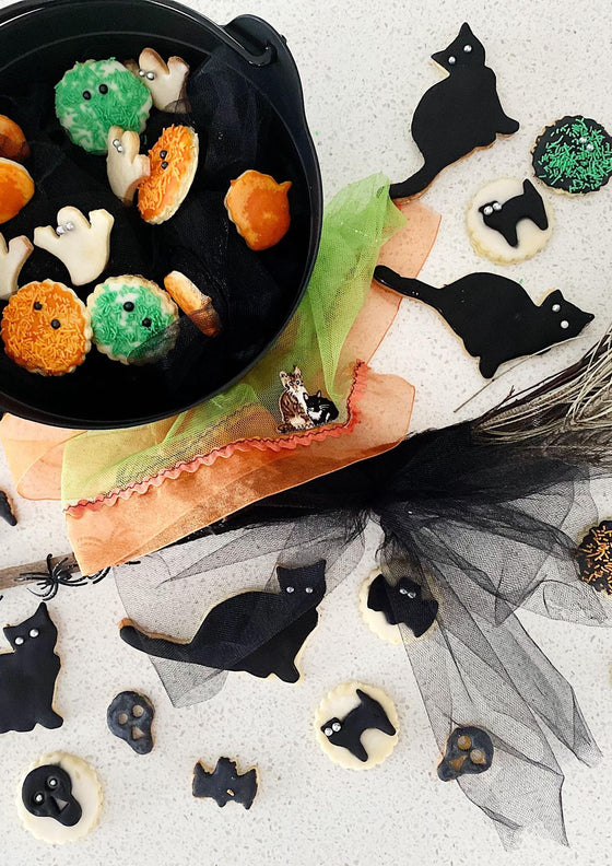 Halloween black cat cookies