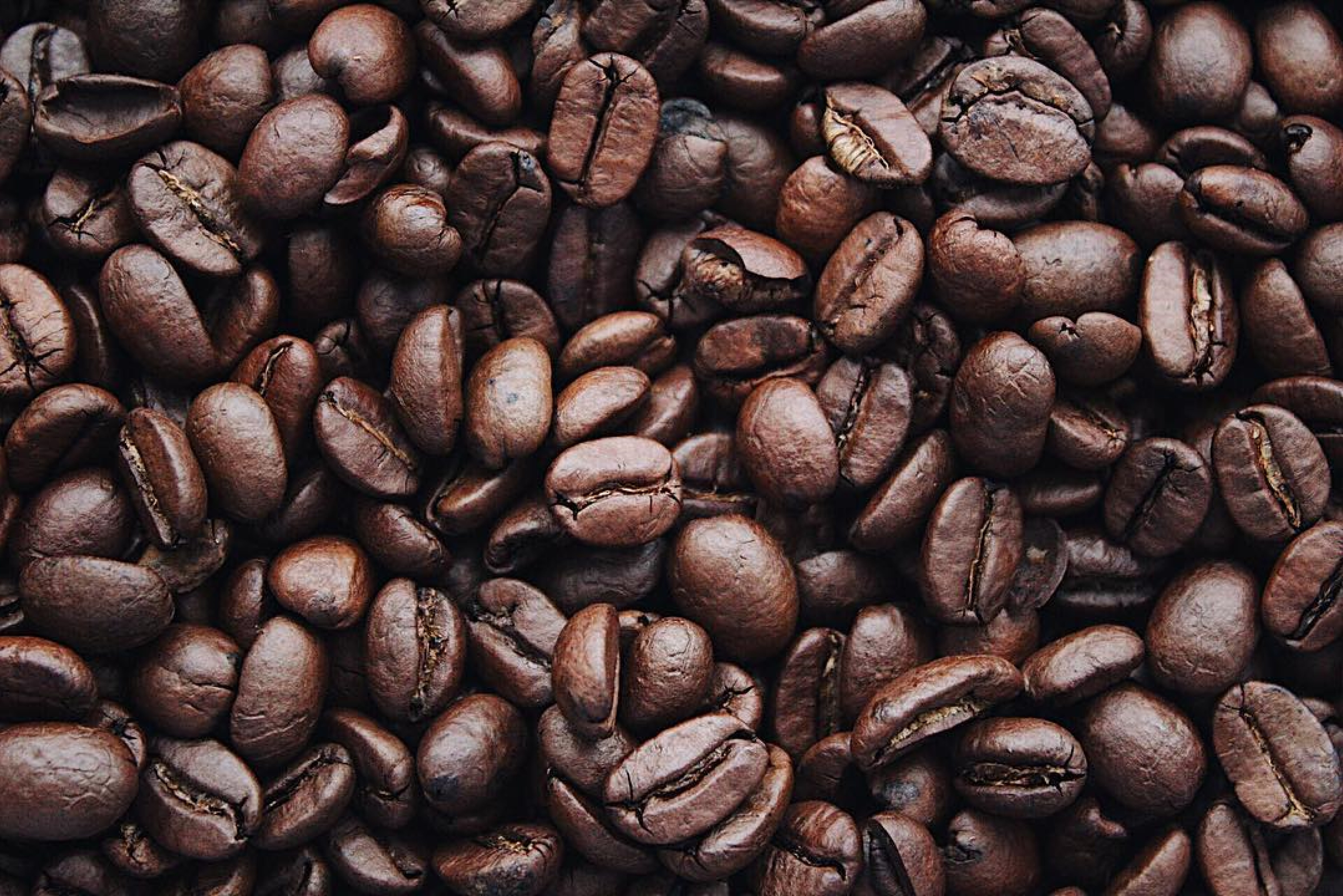 4 types of coffee beans: how to choose