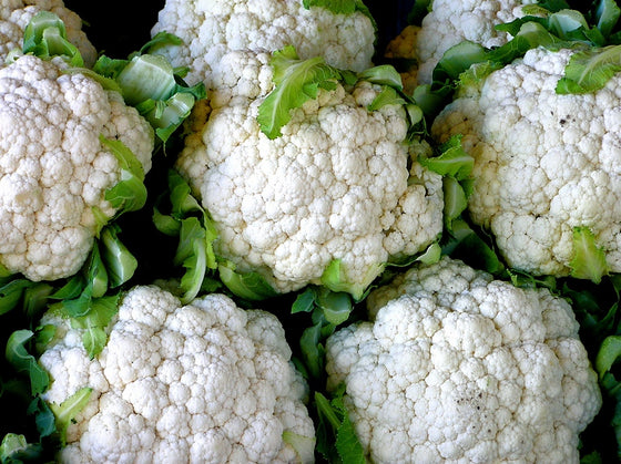Growing cauliflower - Tips from Ed Halmagyi