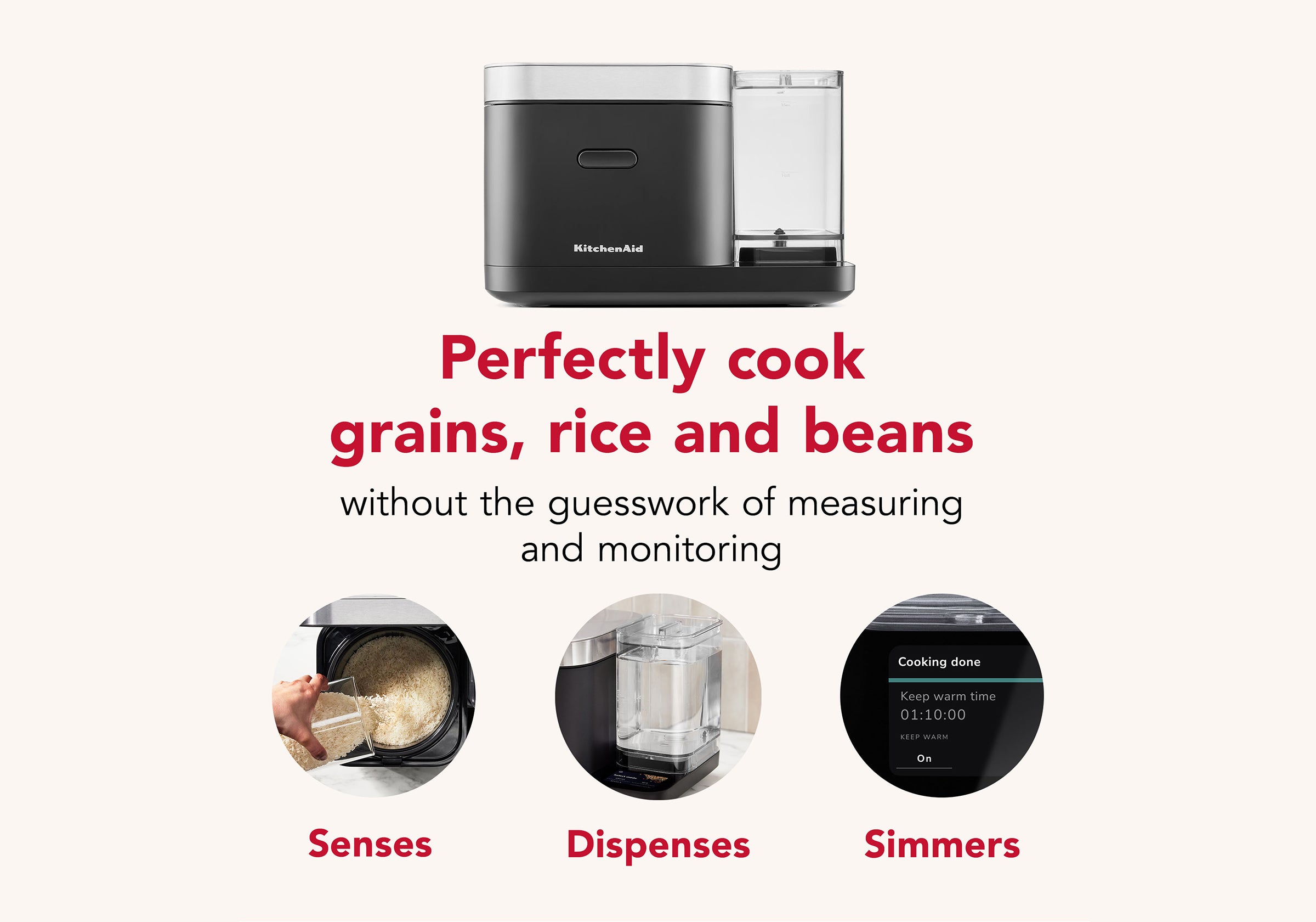 Grain and Rice Cooker