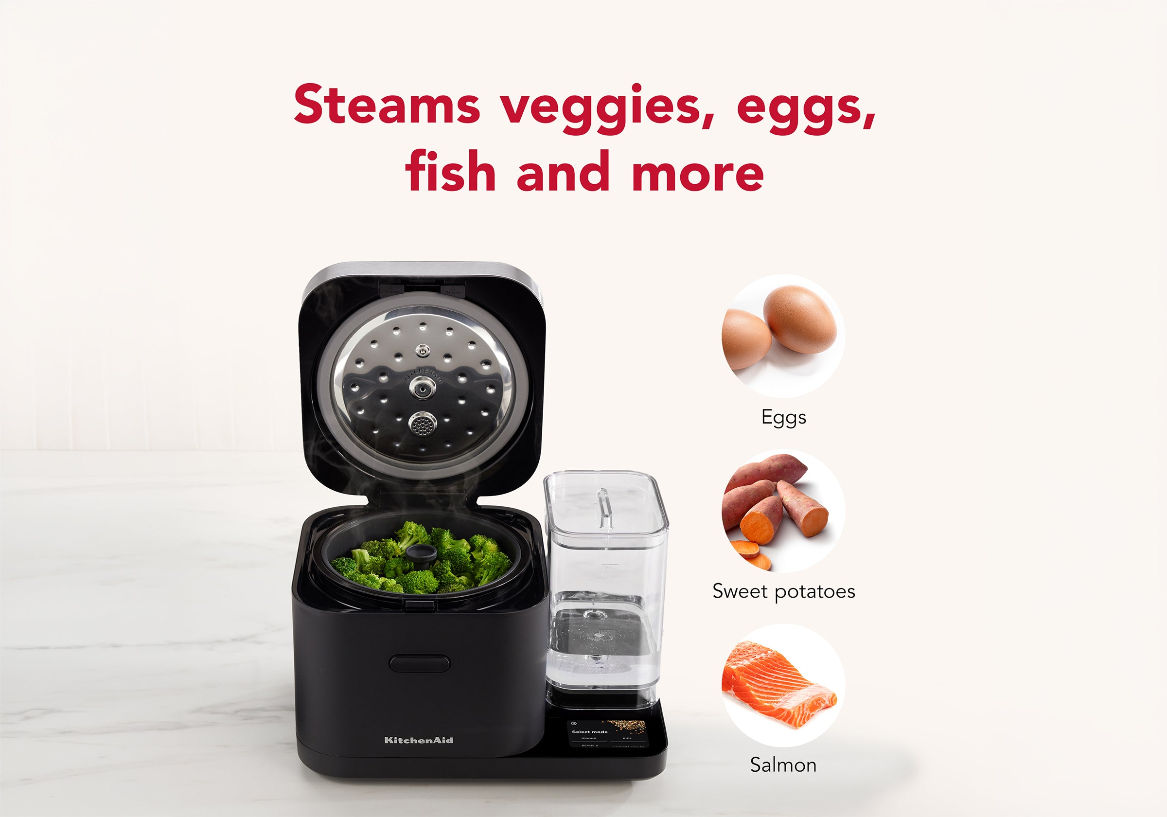 Grain and Rice Cooker