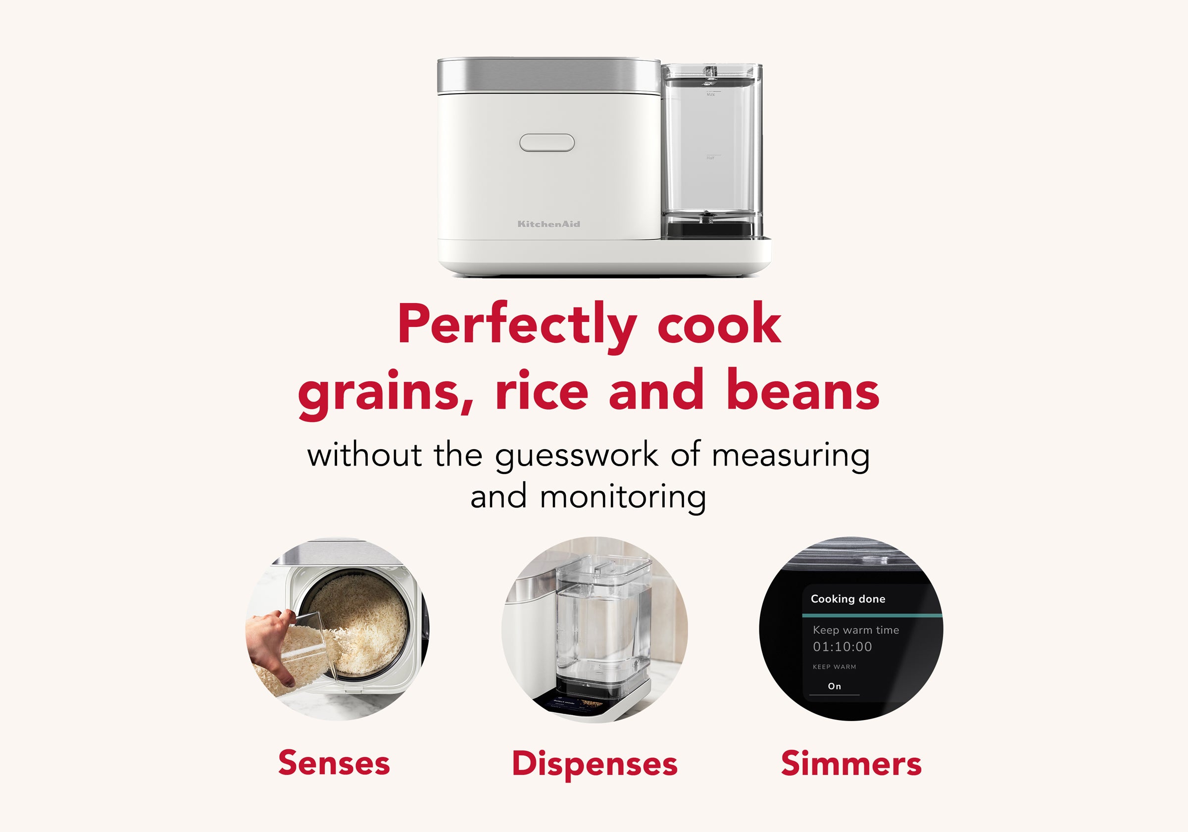 Grain and Rice Cooker