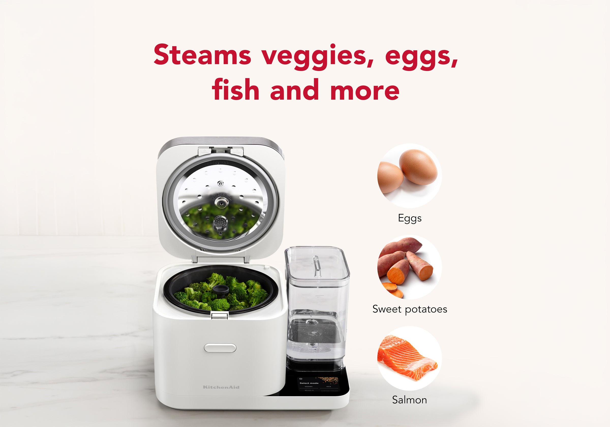 Grain and Rice Cooker