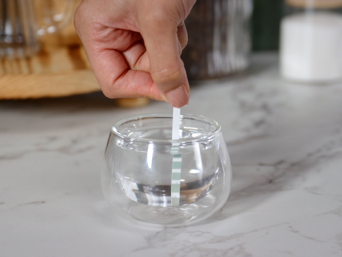 Water hardness test strip